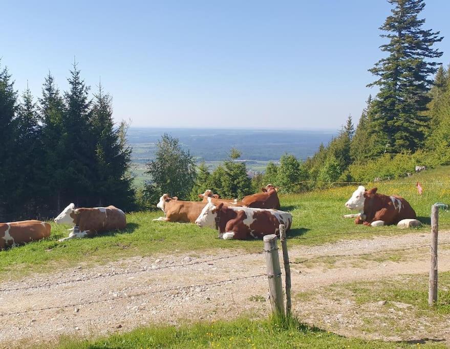 Romantisches Alpenchalet - Mit Sauna Und Kamin - Ruhig Und Zentral Bad Tölz Exterior foto